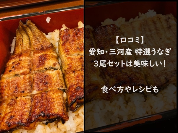 【口コミ】愛知・三河産 特選うなぎ3尾セットは美味しい！食べ方やレシピも