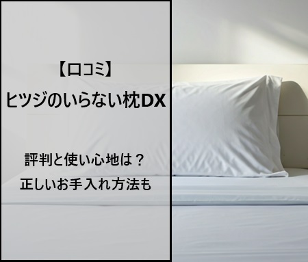 【口コミ】ヒツジのいらない枕DXの評判と使い心地は？正しいお手入れ方法も