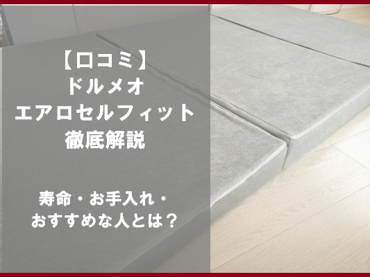 【口コミ】ドルメオエアロセルフィット徹底解説｜寿命・お手入れ・おすすめな人とは？